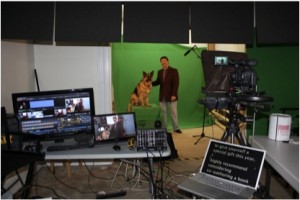 MikeDog