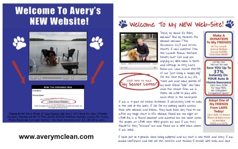 PetWebsite PetWebsite Advertisement Ideas: Using pets to connect with your audience