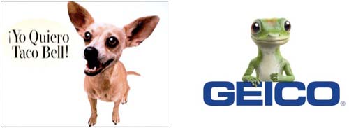 Taco_Geico Taco Geico Advertisement Ideas: Using pets to connect with your audience